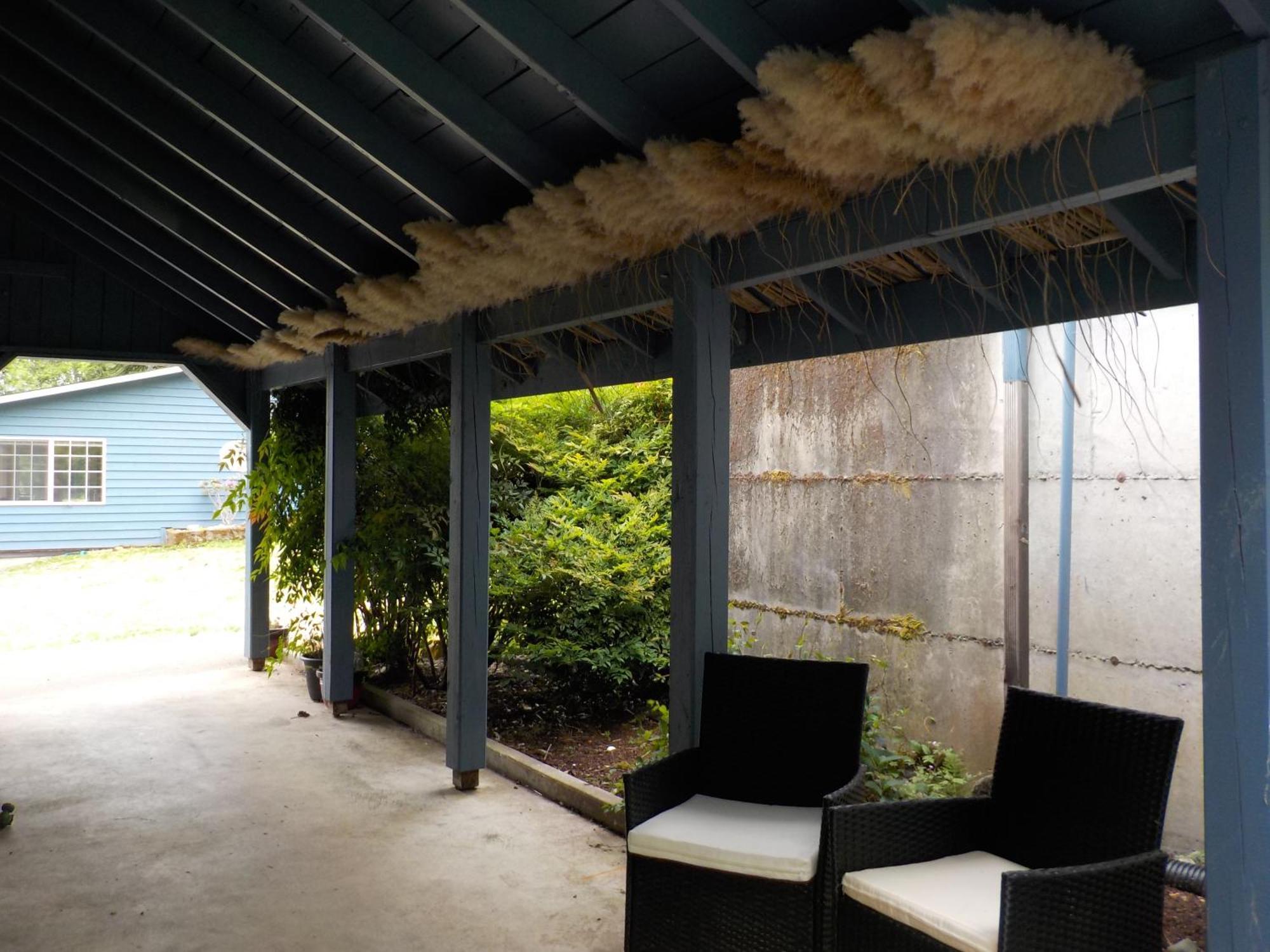 Oceanfront Studio/Loft: Alpacas, Oysters & Kayaks 雪尔顿 外观 照片